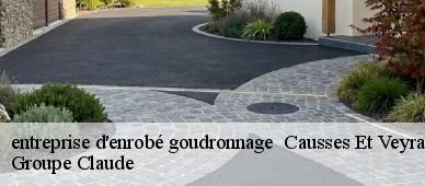 entreprise d'enrobé goudronnage 34490