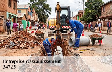 Entreprise d'assainissement 34725